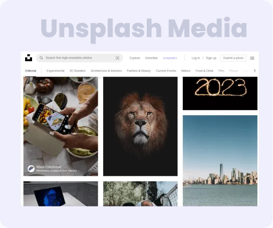Unsplash Media Elementsready Unsplash Media Elementsready